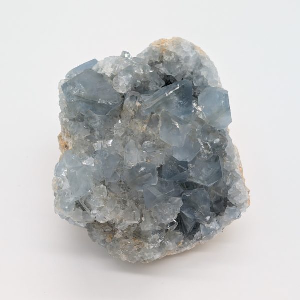 Célestine n°4 – Image 2