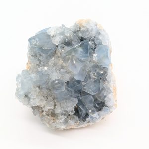 Célestine n°4