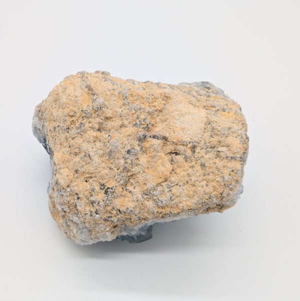 Célestine n°4 – Image 5