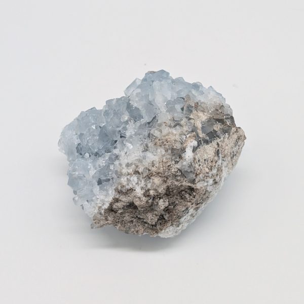 Célestine n°5 – Image 4