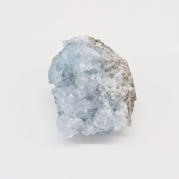 Célestine n°5 – Image 2
