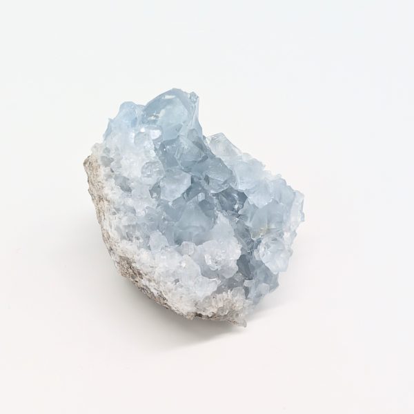 Célestine n°5 – Image 3