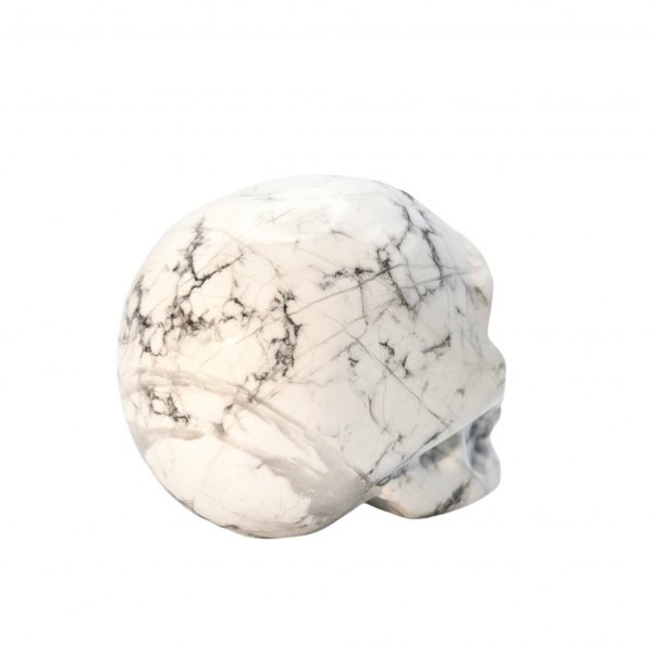 Crâne 50mm Howlite blanche – Image 2